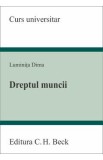 Dreptul muncii - Luminita Dima