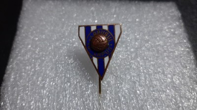 Insigna Lapusul tg. Lapus foto