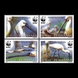 Păsări protejate - Lopătarul eurasian, WWF 2006 LP 1744