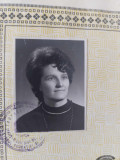 Certificat de Ab.a Liceului-1981-DIPLOMA Politica-1979,Carnet Participant 1976