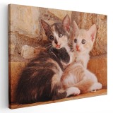 Tablou doua pisicute curioase Tablou canvas pe panza CU RAMA 60x90 cm