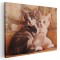 Tablou doua pisicute curioase Tablou canvas pe panza CU RAMA 80x120 cm