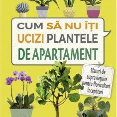 Cum sa nu iti ucizi plantele de apartament