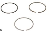 Mahle Set segmenti piston