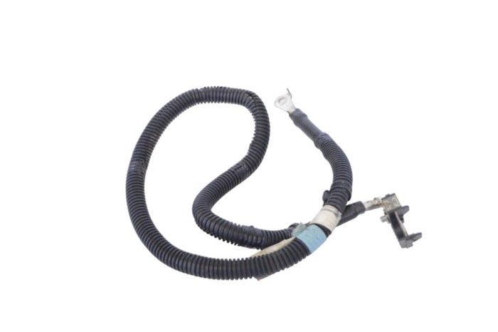 Borna cablu baterie TESLA MODEL S 2018 OEM: 1032274-90-P 20950578