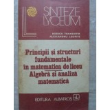 PRINCIPII SI STRUCTURI FUNDAMENTALE IN MATEMATICA DE LICEU. ALGEBRA SI ANALIZA MATEMATICA-RODICA TRANDAFIR,-288792