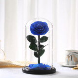 Cumpara ieftin Trandafir Criogenat bonita albastru &Oslash;9,5cm in cupola 17x28cm