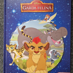 GARDA FELINA - Biblioteca Magica Disney