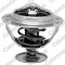 CALORSTAT by Vernet TH7280.92J termostat,lichid racire
