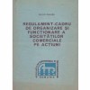 Iulian Ceausu - Regulament-cadru de organizare si functionare a