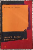 Pururi tanar, infasurat in pixeli - Mircea Cartarescu