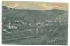 1447 - ANINA, Caras-Severin, Panorama, Romania - old postcard - unused, Necirculata, Printata