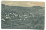 1447 - ANINA, Caras-Severin, Panorama, Romania - old postcard - unused
