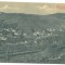 1447 - ANINA, Caras-Severin, Panorama, Romania - old postcard - unused