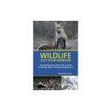 Wildlife Out Your Window: Fascinating Facts About 100 Animals Commonly Seen in the Northeastern U.S.