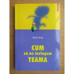Sorin Ene - Cum sa ne invingem teama