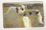 bnk card Cartele telefonice - Kuweit - fauna - camile