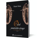Oraşul jumătăţilor de &icirc;nger - Florin Toma - Editura Cartea Romaneasca