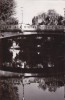 QW27 T - Carte postala - tematica turism - vedere - Romania - Timisoara 25, Circulata, Printata