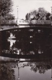 QW27 T - Carte postala - tematica turism - vedere - Romania - Timisoara 25, Circulata, Printata