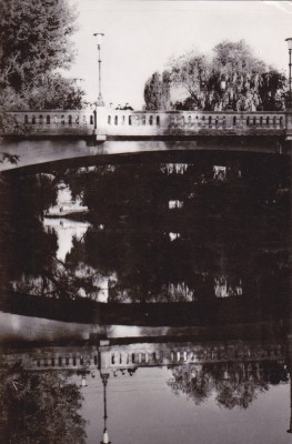 QW27 T - Carte postala - tematica turism - vedere - Romania - Timisoara 25 foto