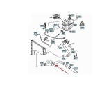 Furtun radiator Mercedes Cls-Class (C219) 2004-2011, E-Class (W211) 2002-2009, cauciuc, RapidAuto 5016PW-1