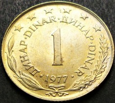 Moneda 1 DINAR - RSF YUGOSLAVIA, anul 1977 * cod 1559 = A.UNC