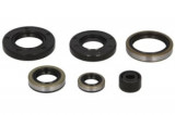 Set garnituri motor compatibil: KAWASAKI KX 250 1983-1984