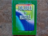 FORJAREA IN MATRITA de SORIN BADEA , 1998