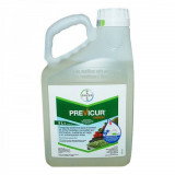 Fungicid Previcur Energy 5 litri, Bayer