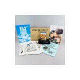 Attack on Titan 35: Fly Collector's Box Set