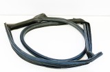 Garnitura ușă st&acirc;nga spate TESLA MODEL 3 2018 OEM: 1090499-50-F | 10879364