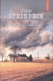 PASUNILE RAIULUI-JOHN STEINBECK-343560
