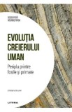 Descopera Neurostiinta. Evolutia creierului uman. Periplu printre fosile si primate - Emiliano Bruner