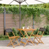 VidaXL Set mobilier bistro, 3 piese, negru, poliratan și lemn masiv