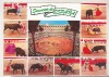 Bnk cp Spania - Corida - circulata, Printata