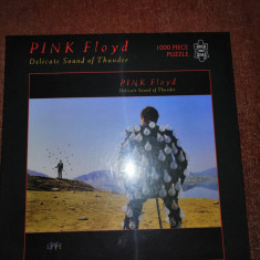 Puzzle Rock 1000 piese Pink Floyd Delicate Sound of Thunder nou sigilat