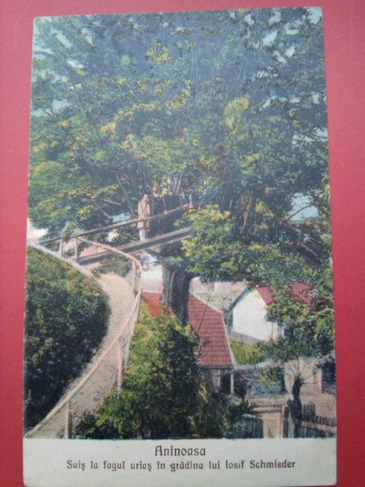 Carte postală Aninoasa