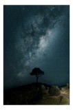 Tablou Canvas pe tema Stejarului singuratic sub calea lactee, 26 x 39 cm, CMCLASS
