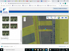 Teren Mangalia extravilan PERSOANA JURIDICA foto