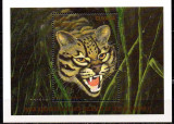 GUYANA 1990, Fauna, Feline, serie neuzata, MNH