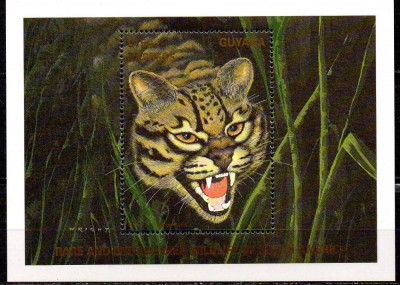 GUYANA 1990, Fauna, Feline, serie neuzata, MNH foto