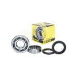 Set rulmenti ambielaj Honda CRF 250R 06- 17, CRF 250X 07- 16 Prox 23.CBS13006