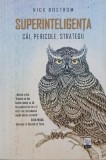 Superinteligenta. Cai, pericole, strategii - Nick Bostrom
