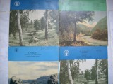 Lot 2 vinil Mozart-rusesti -disc mediu