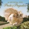 A Guinea Pig Pride &amp; Prejudice