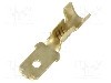 Terminal tip plat, pentru surub {{Orificiu pentru &amp;#351;urub}}, IMP - 2673.05.00.9