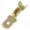 Terminal tip plat, pentru surub {{Orificiu pentru &amp;#351;urub}}, IMP - 2673.05.00.9