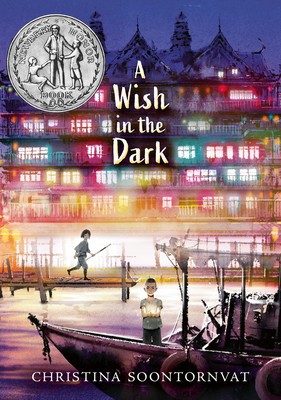 A Wish in the Dark foto