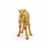 Figurina - Wild Animal Kingdom - Camel Calf | Papo